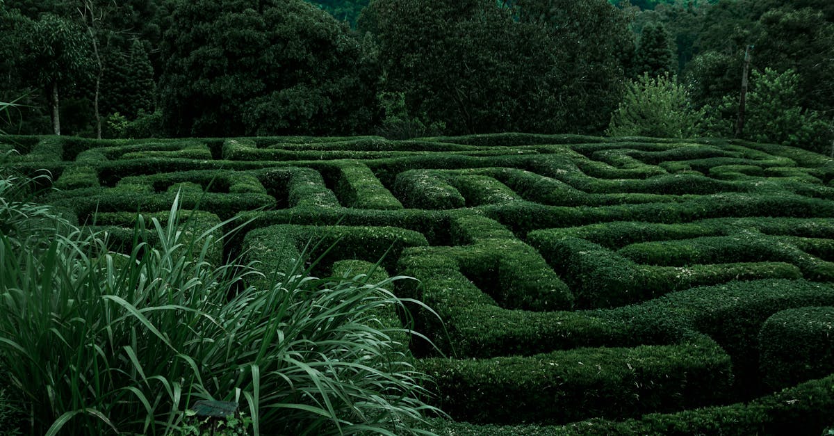 la labyrinthite est un trouble de l'oreille interne caractérisé par une inflammation du labyrinthe, affectant l'équilibre et l'audition. cette condition entraîne souvent des symptômes tels que des vertiges, des étourdissements et une perte auditive, qui peuvent avoir un impact significatif sur la vie quotidienne. découvrez les causes, les symptômes et les options de traitement disponibles pour la labyrinthite afin de retrouver votre santé et votre bien-être.