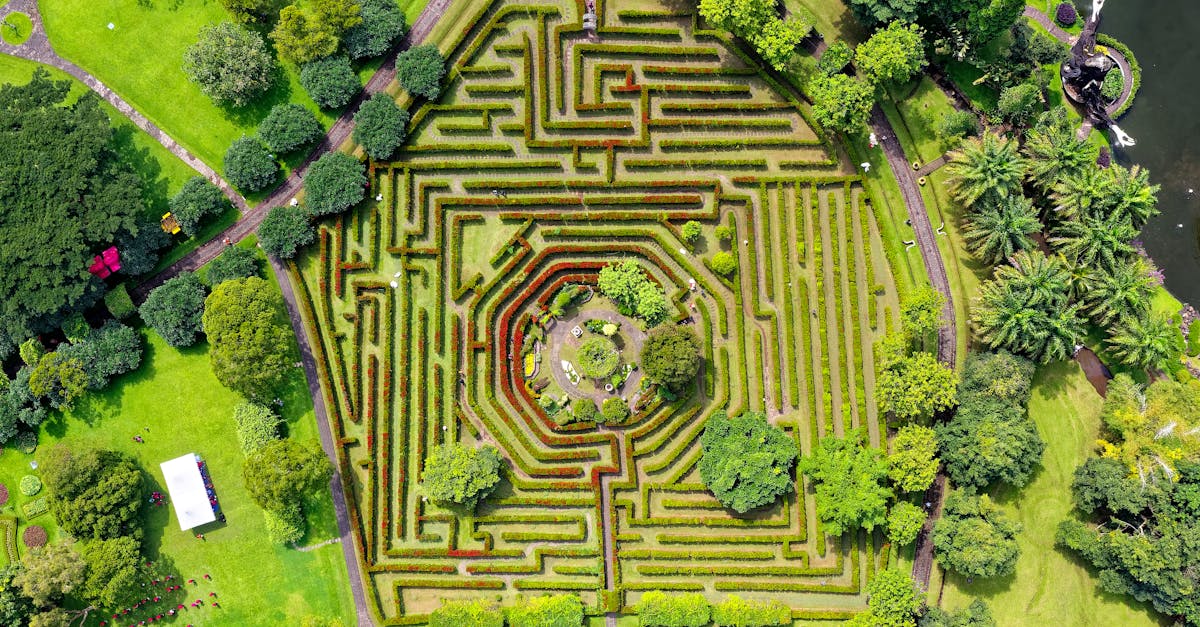 la labyrinthite est une affection de l'oreille interne caractérisée par une inflammation du labyrinthe, entraînant des symptômes tels que des étourdissements, des vertiges et une perte auditive. découvrez les causes, les traitements et les stratégies de gestion pour soulager les symptômes et améliorer votre qualité de vie.