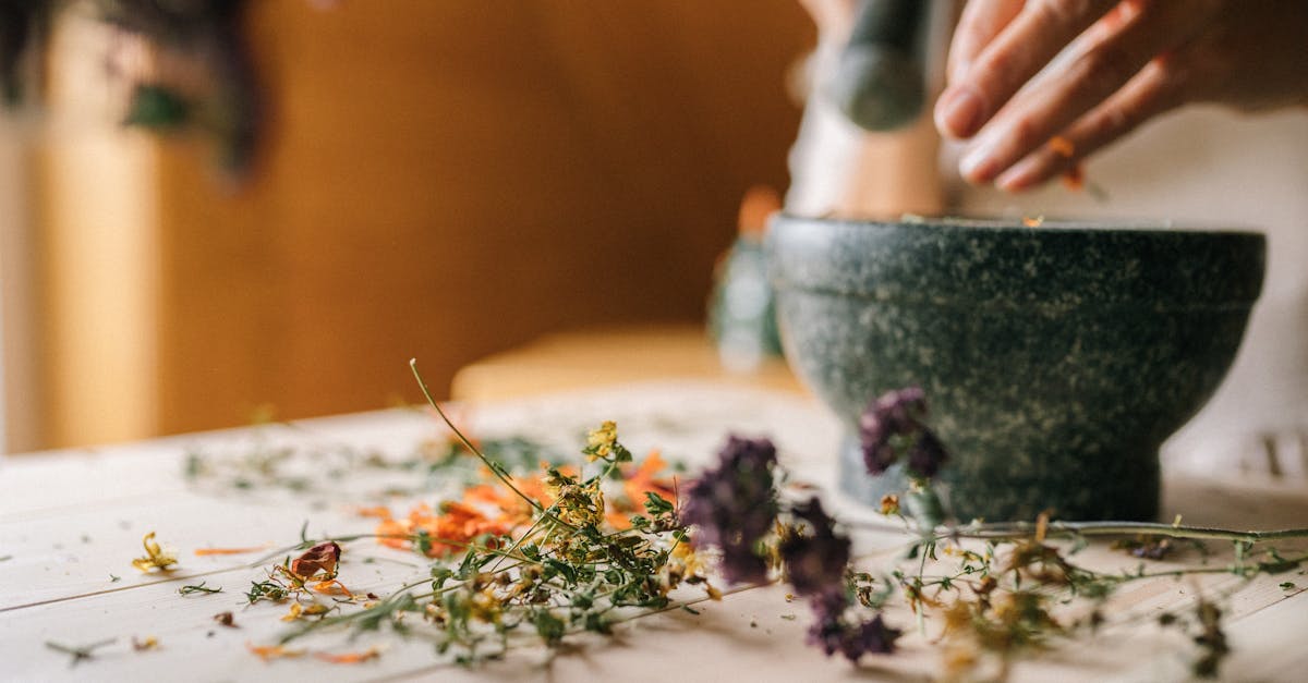 discover the power of nature with our comprehensive guide on medicinal plants. explore the healing properties, uses, and benefits of various herbs and plants renowned for their therapeutic effects. enhance your well-being naturally!