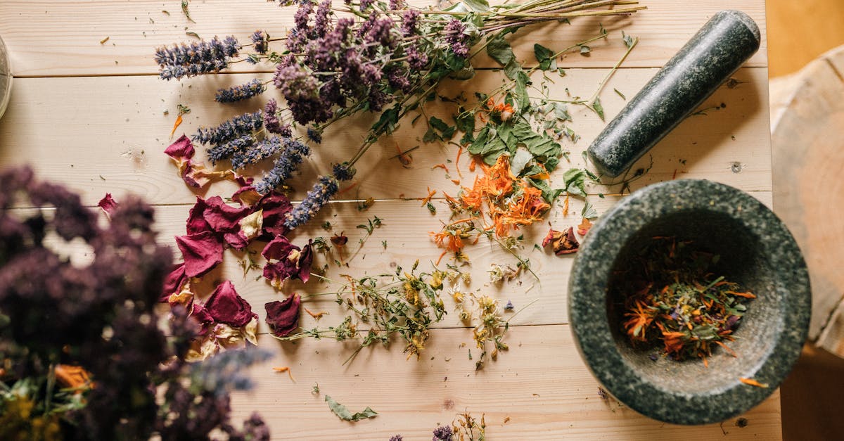 explore a variety of effective natural remedies to boost your health and well-being. discover the power of herbal treatments, essential oils, and holistic approaches to enhance your daily life.