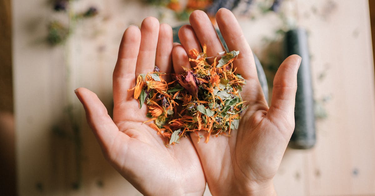 discover the power of natural remedies for optimal health and wellness. explore various herbal treatments, dietary suggestions, and holistic practices that promote healing and vitality without harsh chemicals. embrace nature's solutions for a balanced lifestyle.