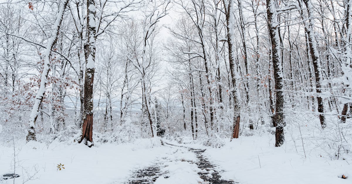 explore the impact of hormonal changes on the body and mind, including their effects on mood, metabolism, and overall health. understand how these natural fluctuations can influence daily life and wellbeing.