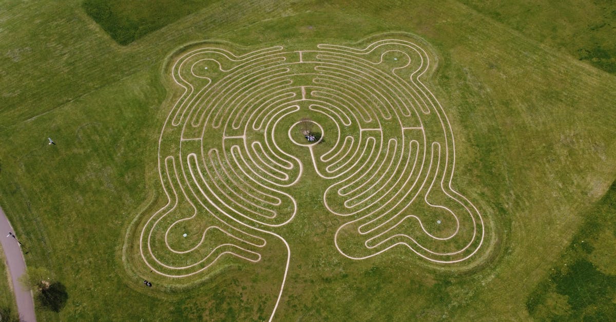 la labyrinthite est un trouble de l'oreille interne caractérisé par une inflammation du labyrinthe, entraînant des symptômes tels que des étourdissements, des vertiges et une perte auditive. découvrez ses causes, ses symptômes, son diagnostic et ses options de traitement pour gérer efficacement cette maladie.