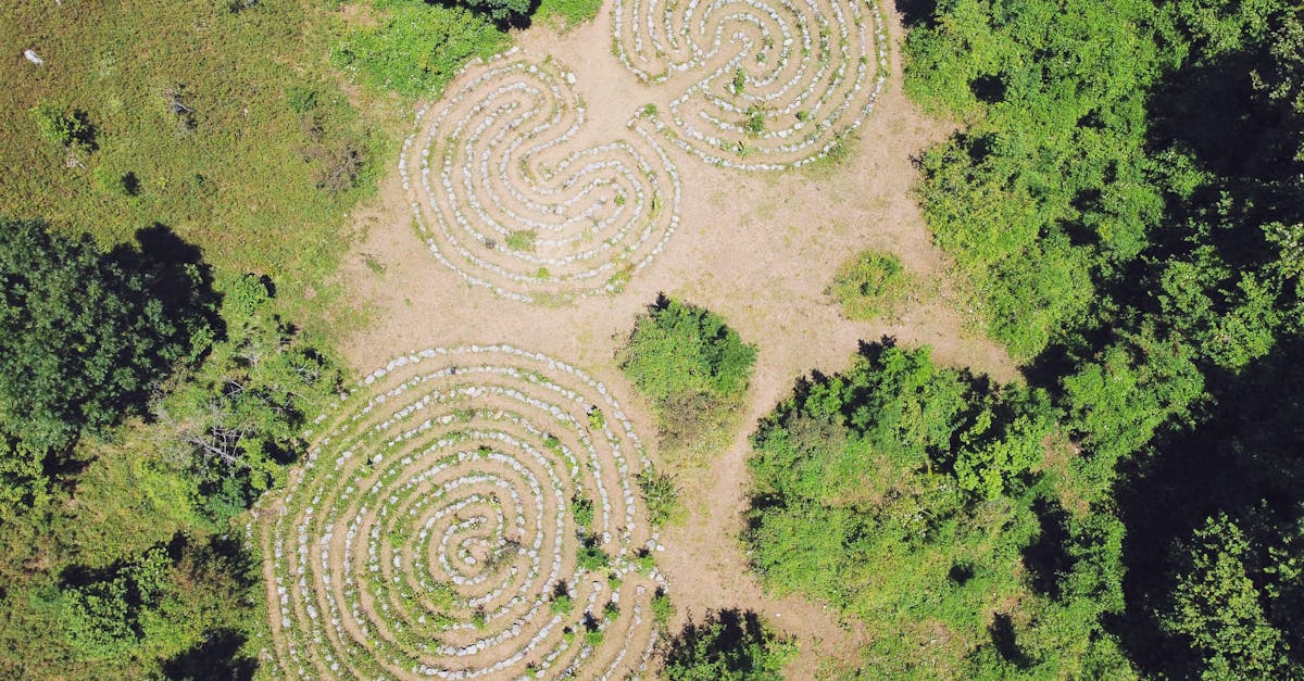 la labyrinthite est un trouble de l'oreille interne caractérisé par une inflammation du labyrinthe, entraînant des étourdissements, une perte auditive et des problèmes d'équilibre. découvrez ses symptômes, ses causes et les options de traitement pour gérer efficacement cette maladie.