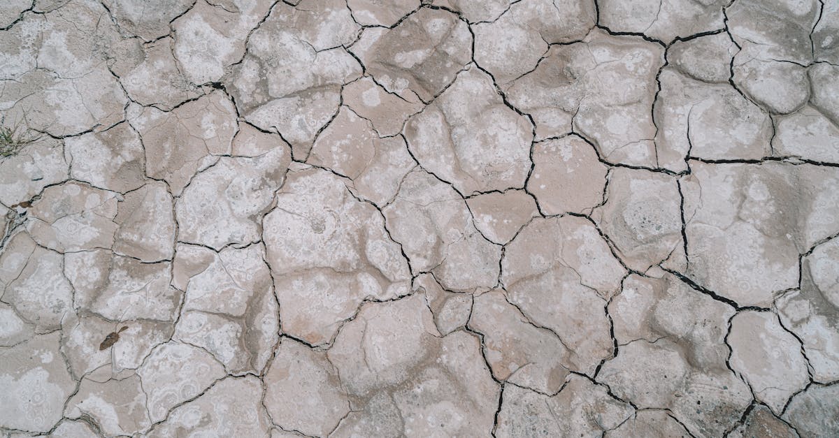 learn about dehydration, its causes, symptoms, and effective prevention strategies. discover how to stay hydrated and maintain optimal health, especially in hot weather or during physical activity.