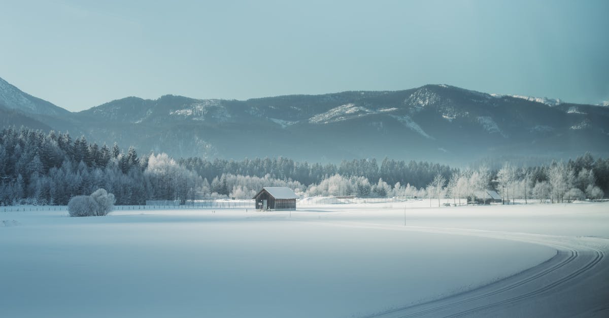 discover insights on frozen shoulder, its causes, symptoms, and effective treatments. learn how to manage this condition and regain your range of motion for a pain-free lifestyle.