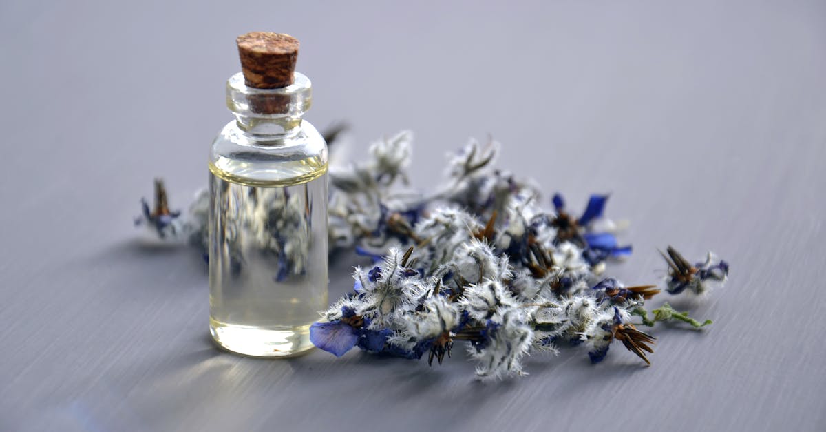 Les stratégies de Pulse Align sont conçues pour être à la fois efficaces et bénéfiques pour les personnes souffrant d'algies vasculaires de la face. Voici plusieurs techniques holistiques qui peuvent contribuer à ce soulagement :