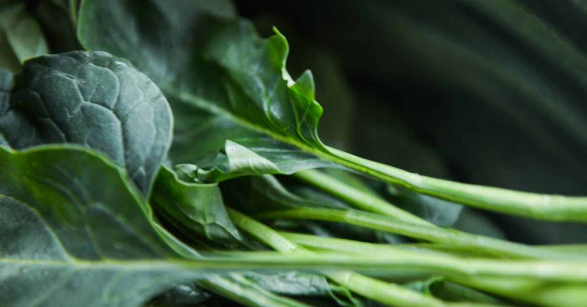 discover a migraine-friendly diet designed to help reduce the frequency and severity of your headaches. explore delicious recipes, nutritious food options, and expert tips to find relief through mindful eating.