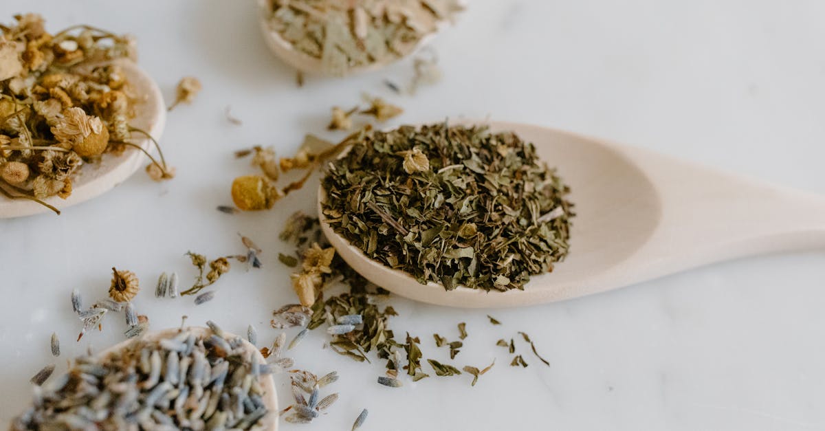 discover the power of natural remedies for a healthier lifestyle. explore a variety of safe and effective herbal treatments, essential oils, and holistic practices to enhance your well-being and support your body’s natural healing processes.