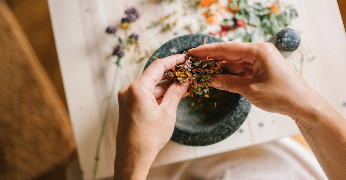 discover effective natural remedies for common ailments, harnessing the power of nature to enhance your well-being. explore herbal solutions, essential oils, and holistic approaches to promote healing and improve your health naturally.