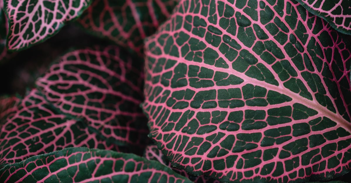 discover the causes, symptoms, and treatment options for a pinched nerve. learn how to alleviate pain and restore mobility with effective strategies.