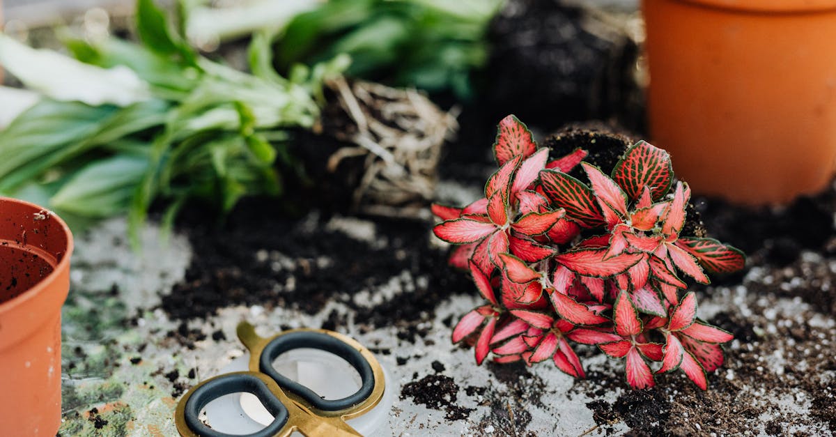 discover the causes, symptoms, and treatment options for a pinched nerve. understand how it affects your body and learn effective ways to relieve pain and restore function.