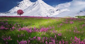 discover the ultimate relaxation experience with our guided techniques and tips. unwind your mind and body, reduce stress, and enhance your well-being. embrace tranquility and find your zen.
