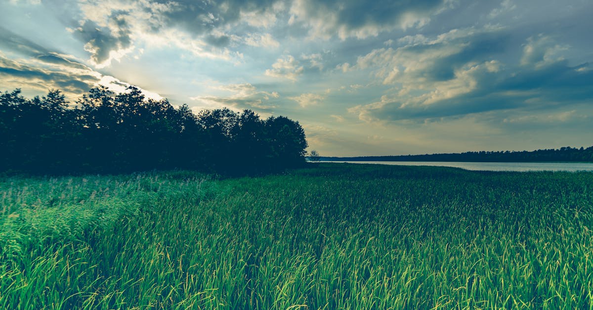 Découvrez l'essence de la tranquillité avec « sérénité », une exploration profonde des moments de paix et de la beauté du calme. Plongez dans des expériences apaisantes qui ressourcent l'esprit et l'âme.