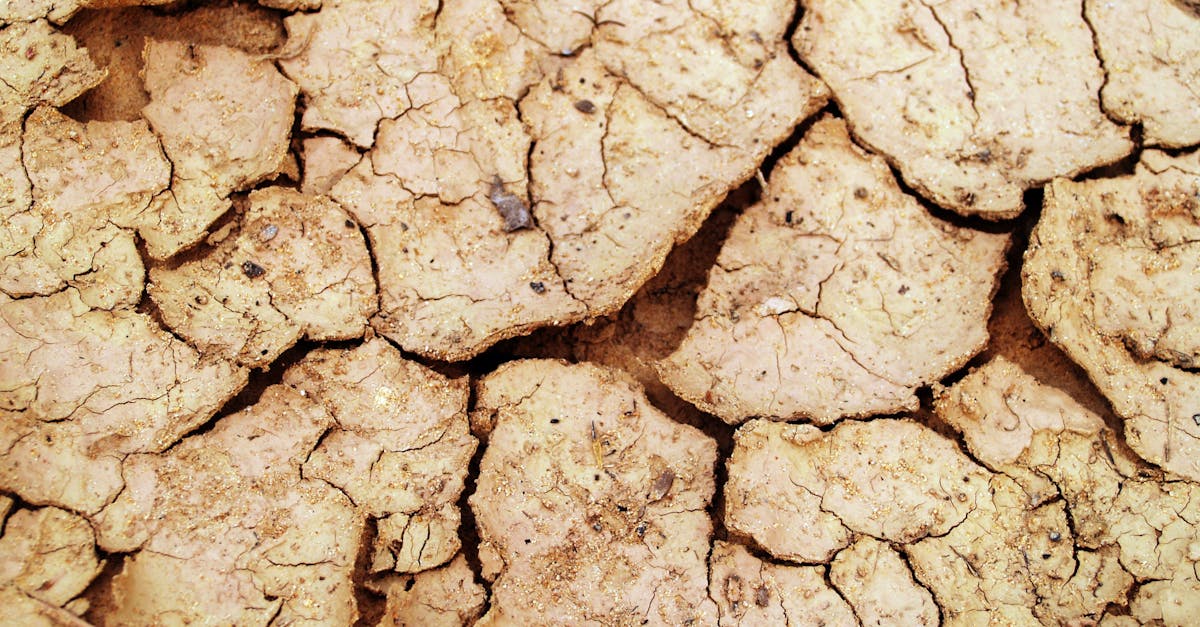 discover the causes, symptoms, and effective treatments for dehydration. learn how to recognize the signs of dehydration and the importance of hydration for overall health and well-being.