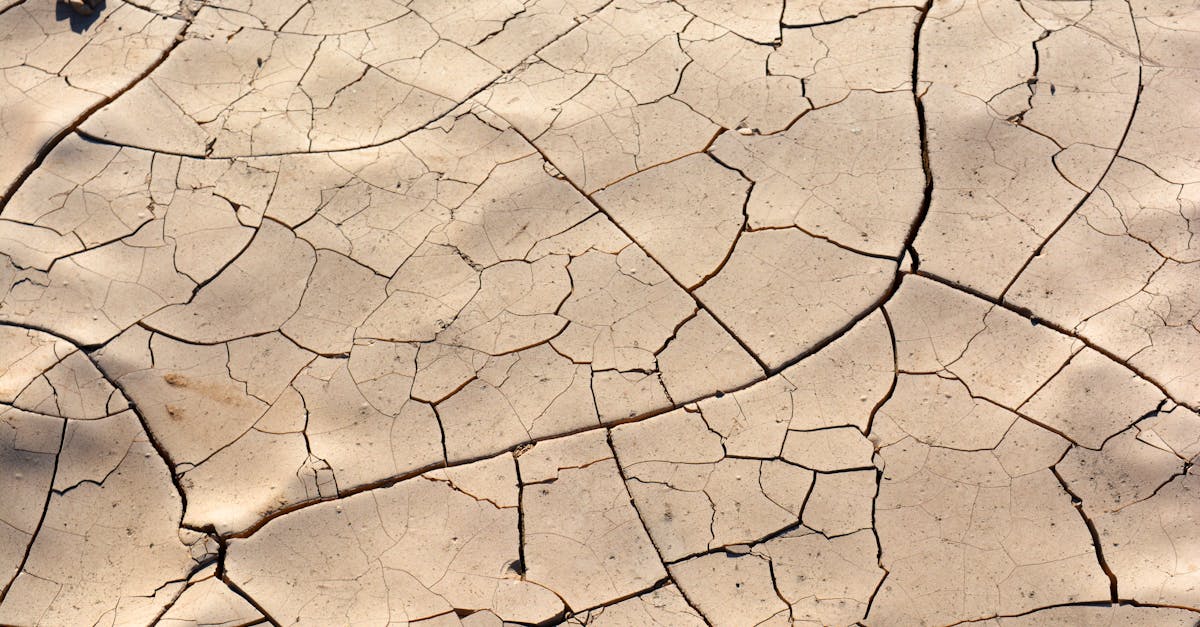 learn about dehydration, its causes, symptoms, and effective prevention methods. understand the importance of staying hydrated for overall health and well-being.