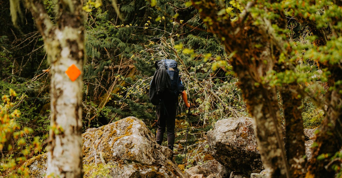 discover the ultimate comfort with our ergonomic backpack, designed to provide support and reduce strain while carrying all your essentials. perfect for daily commutes, travel, or outdoor adventures, it combines style, functionality, and health benefits for an enhanced carrying experience.