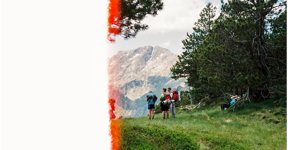 discover the ultimate comfort and support with our ergonomic backpacks, designed to reduce strain and improve posture. perfect for daily commutes, travel, or outdoor adventures, our backpacks combine style and functionality for all your needs.