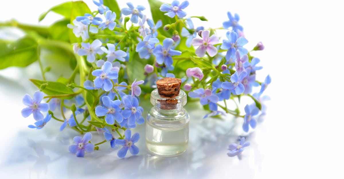 discover the benefits of essential oils for your health and well-being. explore their natural properties, uses in aromatherapy, and how they can enhance your daily life.