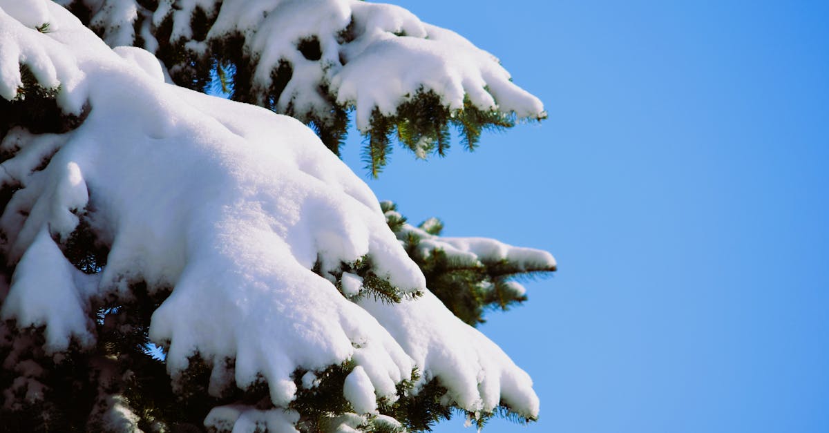 discover the causes, symptoms, and effective treatments for frozen shoulder, a condition that limits shoulder movement and can cause pain. learn how to manage and alleviate discomfort to regain your mobility.