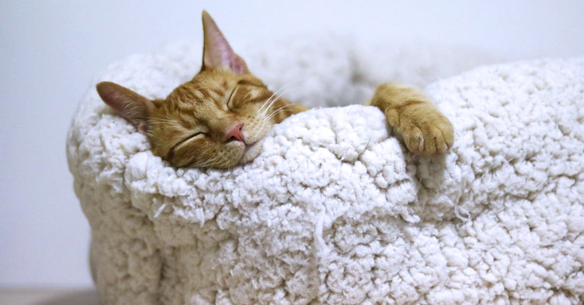 découvrez l'importance du sommeil pour la santé et le bien-être en général. découvrez des conseils pour améliorer la qualité du sommeil, comprendre les cycles de sommeil et créer un environnement reposant pour améliorer votre repos nocturne.