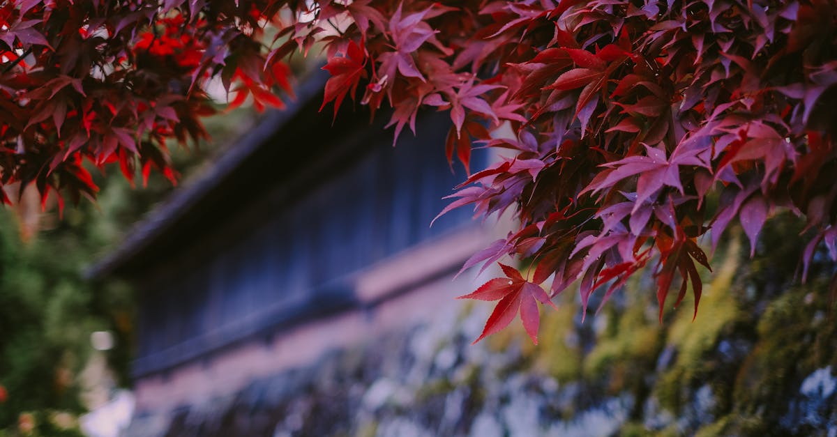 discover effective strategies and solutions to alleviate stress and enhance your well-being. explore tips and resources that promote relaxation and improve mental health.