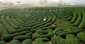 labyrinthitis is an inner ear condition characterized by inflammation of the labyrinth, which can lead to vertigo, dizziness, and balance issues. learn about its causes, symptoms, and treatment options.