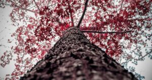 explore the captivating world of vertigo, a condition that creates a false sense of spinning or movement. discover its causes, symptoms, and effective treatment options to manage this intriguing disorder.