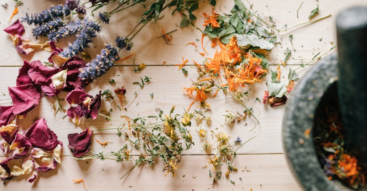 explore the world of holistic remedies to enhance your well-being naturally. discover herbal treatments, essential oils, and alternative therapies that promote balance and healing for both mind and body.
