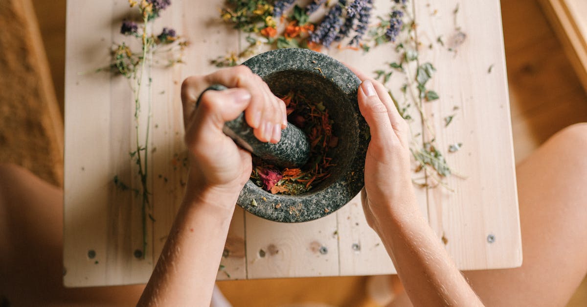 discover the power of holistic remedies for natural healing and wellness. explore a variety of alternative therapies, herbal treatments, and lifestyle practices to enhance your physical and mental well-being.