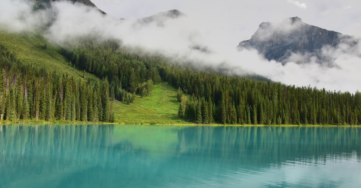 discover the true meaning of serenity with our in-depth guide. explore tips, techniques, and insights to bring more peace, calm, and balance into your daily life.