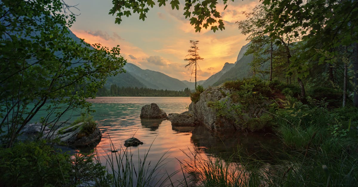 discover the true essence of serenity with our insightful guide. explore techniques, benefits, and tips to bring more peace and calm into your daily life. embrace tranquility and boost your well-being now.
